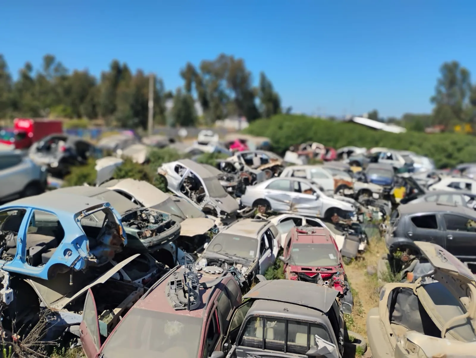 Instalaciones de la desarmaduría 4